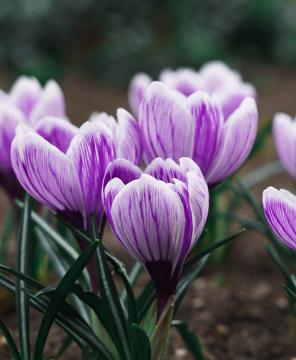 about-us-gallery-2